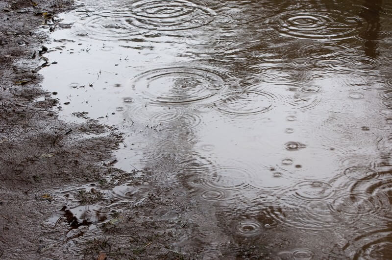 雨の日の水たまりの波紋　イメージ画像